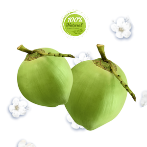 Cáscara de coco fresca vietnamita Hidratante Sabor dulce con un estilo refrescante - Product Image 2