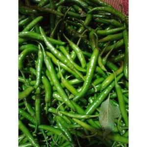 พริกเขียวสดสำหรับผู้ส่งออกสินค้าเกษตร - Product Image 2