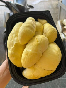 Pulpa de Durian congelada Vietnam VDELTA a granel Aril OEM Exportación de fábrica Suministro de frutas tropicales - Product Image 3