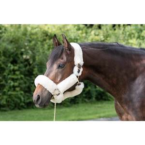 HAVANE CHEVAL EN PEAU DE MOUTON HIPPING HALTER - Product Image 5