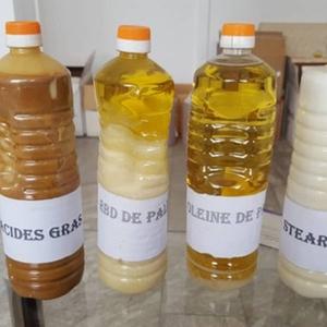 Aceite de palmiste RBD para exportación - Product Image 1