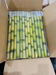 Caña de azúcar verde orgánica cosechada salvaje, etiqueta limpia fresca y de alta calidad, sin OGM - Product Image 5