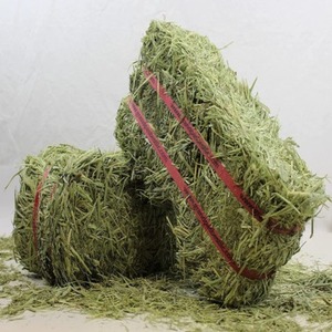 Alfalfa et foin de Timothy séchés au soleil, cubes de qualité supérieure, naturels, riches en protéines, pour l'alimentation animale (bovins, porcs), durée de conservation 24 mois - Product Image 1
