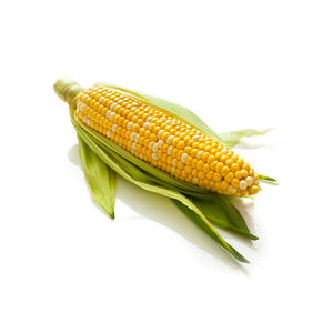 Maíz Amarillo para Consumo Humano y Animal, Sin OMG, Glutinoso, Seco, de Alta Calidad, Certificado HACCP, Origen Estadounidense, Venta al por Mayor - Product Image 1