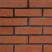 Briques d'argile naturelle pour façades et cheminées, solides, haute porosité, qualité supérieure