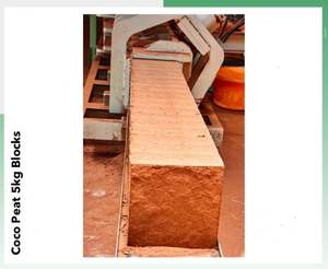 Qualité supérieure 100% naturel Coco noix de coco tourbe 5kg blocs écologique biodégradable pour les cultivateurs hors sol fiable indien - Product Image 3