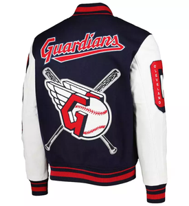 Lions varsity jacket hommes Letterman Jacket avec manches en cuir doré letterman veste universitaire en cuir personnalisée pour hommes - Product Image 2