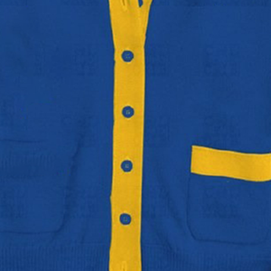 Suéter cárdigan con cuello en V de manga larga clásico bordado personalizado para mujer, prendas de punto de invierno, rayas doradas, tamaño libre, Parte delantera informal - Product Image 6