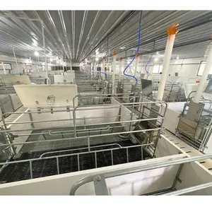 High Quality Pig farrowing barn Reduce the rate of Abortion Stainless Steel farrowing crates for pigs Clean and Ventilation