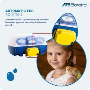 Controlador de incubadora de capacidad de 24 huevos Borotto Smart hecho en Italia Real 24 incubadora de huevos profesional automática para incubar - Product Image 4