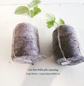 Venta al por mayor de pellets de coco y pellets de turba de coco precio barato y de alta calidad de Eco2go Vietnam - Product Image 5