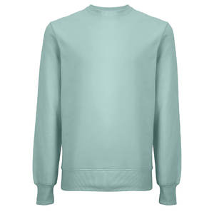 Sweat-shirt pour homme 100% coton, poids lourd - Product Image 4