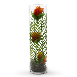 VCY0518 - Cylinder Glass <b>Vase</b> - 5 x 18 - Product Image 2