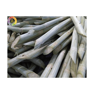 Palo de caña de azúcar congelado rápido, materia prima dulce Natural limpia pelada para jugo, suministro a granel, calidad garantizada, Exportación de Vietnam - Product Image 1