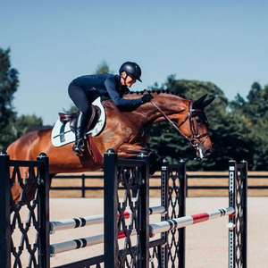 Tapis de selle de cheval anglais matelassé doux OEM tissu respirant durable soutien confortable pour les tapis de selle de chevaux personnalisés - Product Image 6