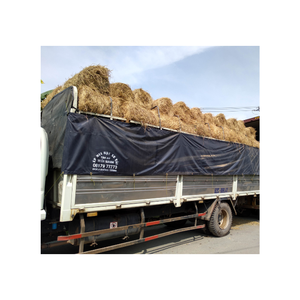 Paja de arroz para alimentación ANIMAL y producción de setas, producto prémium de Vietnam, el mejor precio en el mercado - Product Image 4