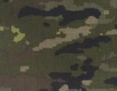 ลายพราง2