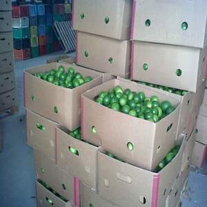 Citrons verts et jaunes frais, cultivés naturellement, fruits de citron de haute qualité en gros - Product Image 5