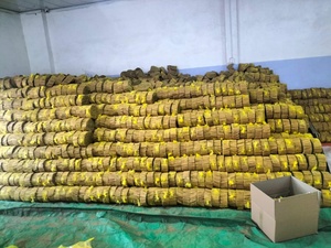 แท่งไม้ /ceylon/bhringa ส่งออกจากโรงงานในเวียดนาม-ยอดขายสูงสุดราคาที่แข่งขันได้ (WA: + 84362512699) - Product Image 6