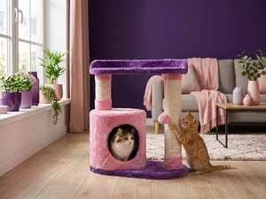Arbre à chat Amistar Kitty Aurora de haute qualité avec 3 niveaux pour chats - Product Image 6