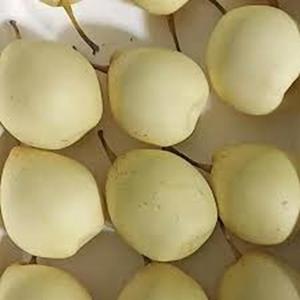 Vente chaude Fresh Ya Pears Juicy et Sweet avec saveur naturelle au prix de gros - Product Image 2