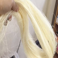 Haute qualité 100% fibre de chanvre de sisal de jute naturel 1 pli 2 plis 3 plis cordes de ficelle torsadée fibre de sisal vente au Kenya