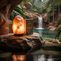 Lampe de sel de l'Himalaya écologique personnalisée de 1-2 kg, faite à la main, motifs animaux, croix, fleurs, lettres religieuses, Feng Shui – Meilleures ventes