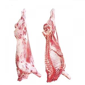 Proveedor Mayorista de Carcasa de Oveja para Exportación a Granel, Carne de Oveja Entera de Alta Pureza para Cadenas de Minoristas, Servicios de Alimentos y Comerciantes - Product Image 3