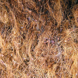 Fibra de Palma Natural Cruda y Ecológica para Hilado - Product Image 4