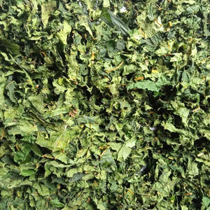 Prix le moins cher en gros feuilles de papaye séchées feuille de papaye séchée au soleil de qualité supérieure fabriquée au Vietnam - Product Image 5