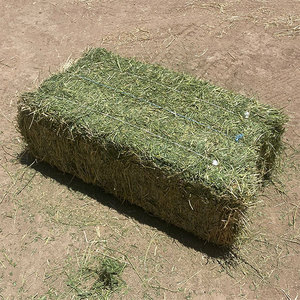 Heno de Alfalfa Comprimido de Primera Calidad, Heno Natural para Ganado con 14% de Humedad, Empaque a Granel en Venta - Product Image 4