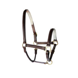 Meilleure vente combinaison de cuir et de corde de style selle anglaise tête anatomique licou de cheval licou en cuir hybride - Product Image 1