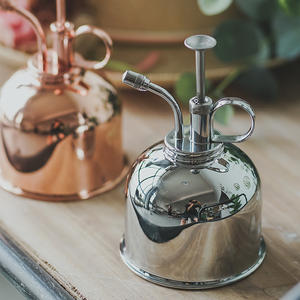 250ml Vintage RVS Plantenspuit |   Metalen sproeier voor binnenplanten en bevochtiging - Product Image 2