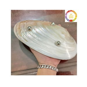 จานเปลือกหอยมุกคาเวียร์จานเสิร์ฟจากเวียดนามทำด้วยมือ - Product Image 5