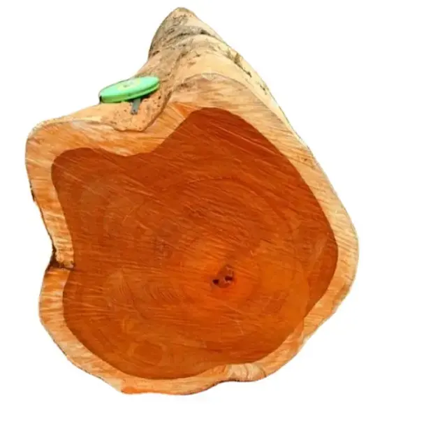 TRONCOS REDONDOS DE HAYA de calidad/Troncos de madera de roble/Troncos de eucalipto Madera de teca-Troncos redondos, Troncos de madera aserrada