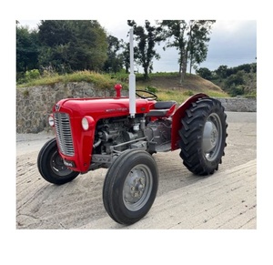 Tractor Massey Ferguson 164 Económico, Tractor Compacto para Viñedos en Venta, Precio Bajo, Equipo Agrícola Profesional, Nuevo Suministro - Product Image 2