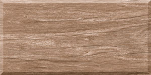 Azulejos de Cerámica con Acabado Pulido Modelo 6032-D 300x600mm - Product Image 1