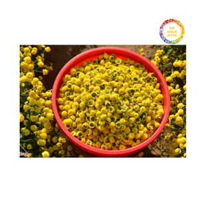 Thé de fleurs de marguerite séchées vietnamiennes de qualité supérieure idéal pour la relaxation et la désintoxication - Product Image 3