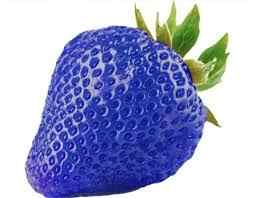 100 Pcs Seeds Organic Harvest Blue Strawberry Seeds Hobby Garden Balcony Blue Strawberry Seeds