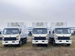 Gran Oferta: Camión de Transporte de Aves de Corral y Ganado, Nuevo, con Aislamiento, 4x2, Volante a la Izquierda - Product Image 5