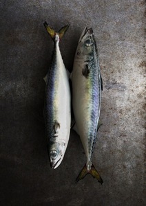 Bacalao Fresco Entero Congelado en Salmuera, Bajo en Grasa y Sal, Grado AA, 2.4 kg, de Noruega - Product Image 3