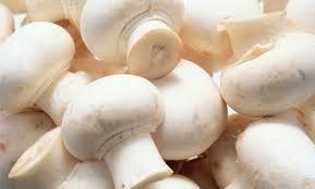 Hongos Congelados Premium LQF, Blancos, Enteros, Multi-Varietales, Cultivados, Sazonados, Un Año de Duración, Suministro a Granel para Restaurantes - Product Image 3