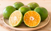 Verse, sappige, zoete, groene sinaasappels uit Vietnam, premium kwaliteit citrusvruchten voor export, klaar voor de internationale markt //Evan