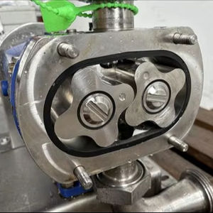 Revisión Completa de la Bomba de Lóbulos de SS Engineers & Consultants - Product Image 1