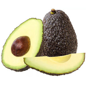 อะโวคาโดจากเวียดนาม - อะโวคาโดพันธุ์ฮัสสำหรับส่งออก ราคาดีที่สุด มาตรฐานผลไม้เขตร้อนคุณภาพสูง ใหม่ ปี 2022 - Product Image 6