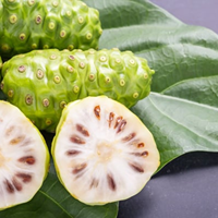 FRUITS NONI SÉCHÉS | MORINDA CITRIFOLIA | COMPLÉMENT DE SANTÉ NATURELLE
