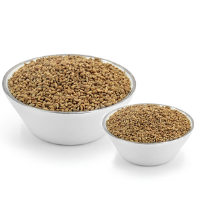 Hierba Ajwain auténtica | Común en mezclas globales de especias - Product Image 2