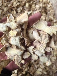 Jengibre seco-Gedroogde gemberplakken con larga vida útil, exportación directa de fábrica de jengibre seco con jengibre seco Premium - Product Image 2