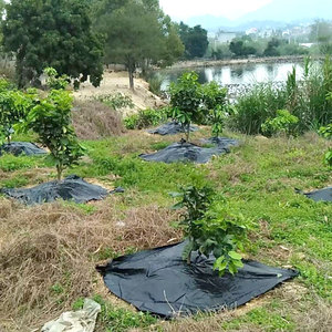 Protección de árboles Barrera de malezas Esteras de tela Estera de control de malezas precortada ecológica con agujero alrededor de los árboles - Product Image 1