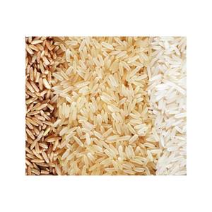 Superior International Standard Long Grain Pusa Basmati Golden <b>Sella</b> <b>Rice</b> for Bulk Distribution - Product Image 3